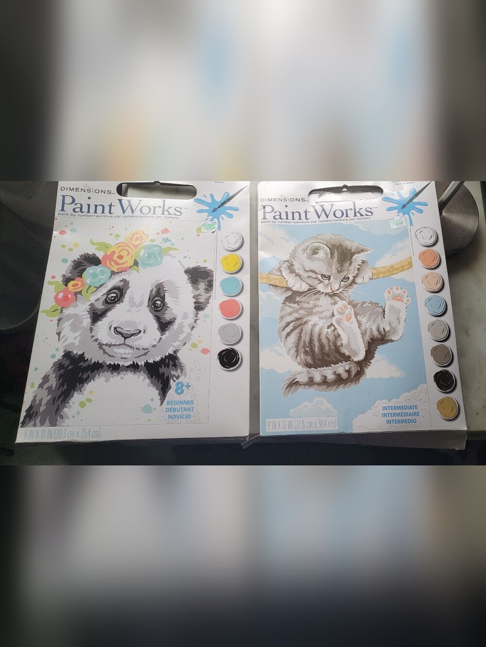 Dimensions PaintWorks Paint-by-Number Kit Set - Panda & Kitten - Multicolor New